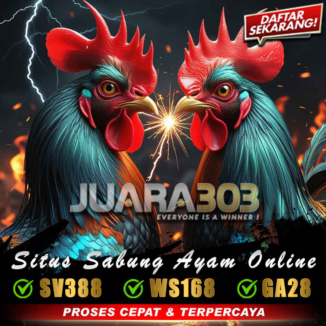 SV388 » Aplikasi Resmi Sabung Ayam Online Wala Meron Live 24 Jam